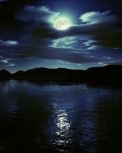 Природа СУПЕР