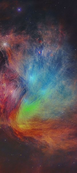 adapted 1080x2400 1753022444