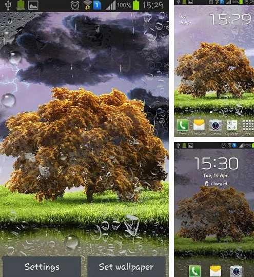 com-blackbirdwallpapers-springstorm