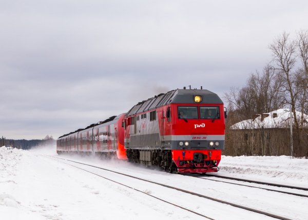 file_102204498