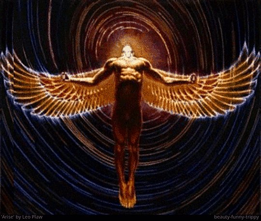 6c58ea51a521622f0ca326fff4b39a2a