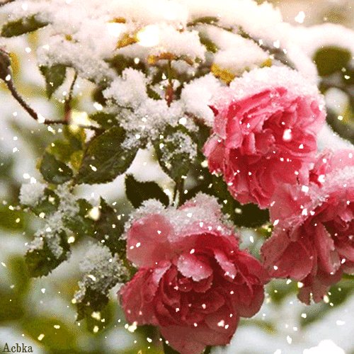 file_94952904