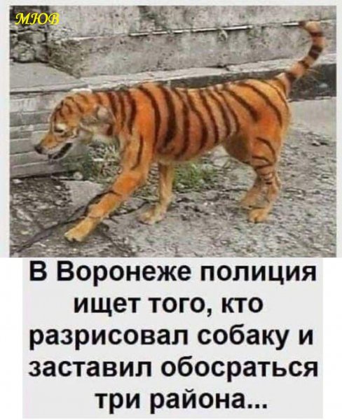 FB IMG 1775992788292