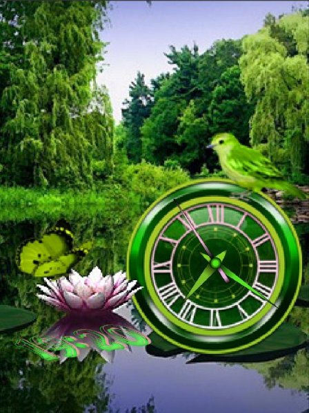 Райский уголок