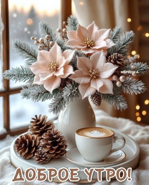 IMG 20260201 223550 754