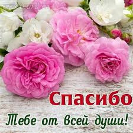 Спасибо тебе от всей души!