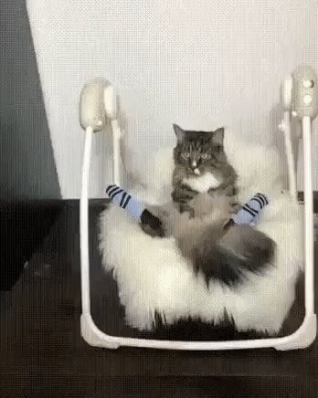 gif 1528634900