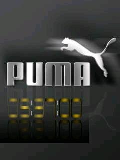 Puma sport