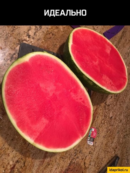 cc842f06eb9ffd6e10774547ec1eb335767cb93ce0c2139bded2dfa5524f2