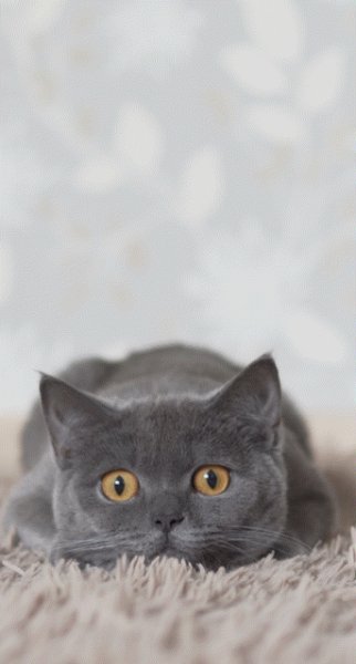 IMG 20240417 231208