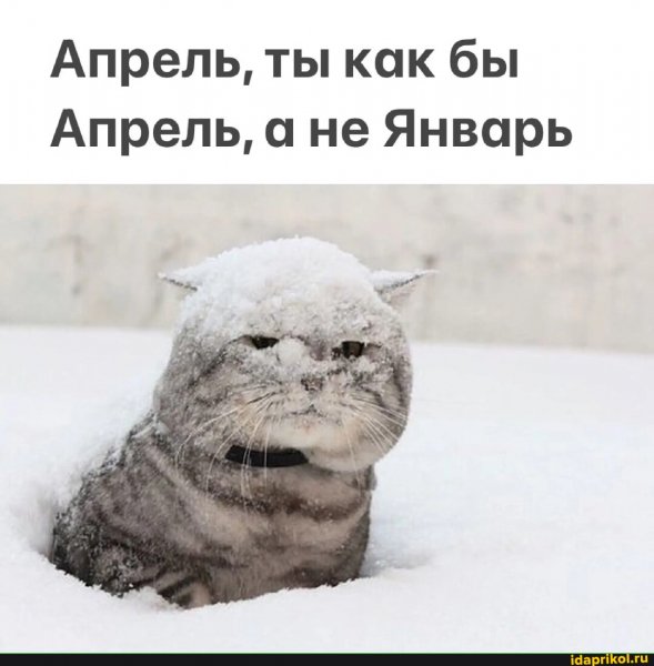 A16f4b40d1dd5f4caf95fb1e807a561e308b2842f56 1