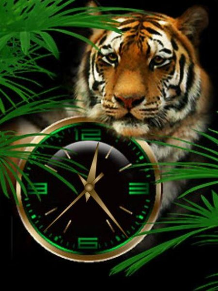 Tigra (2DX)