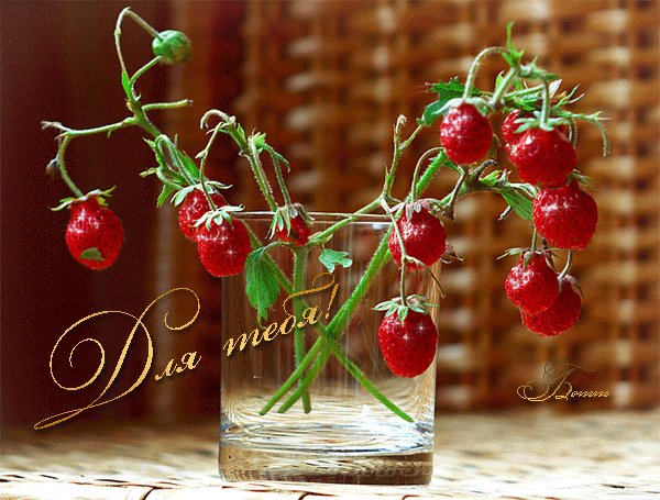 0a2a089b57e14fd6ed0029