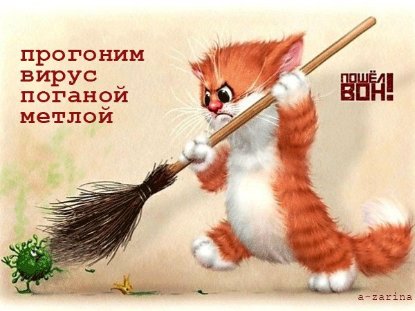 прогоним вирус