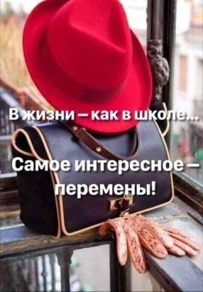 B9d52bc442c8e55189211799b534b454