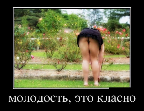 lvv1qcEJvvE