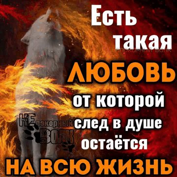 IMG 20260106 185757