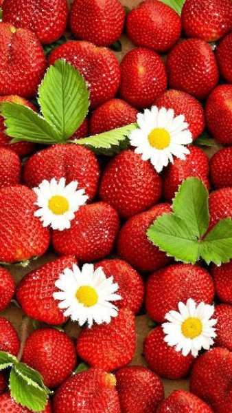 file_77918541