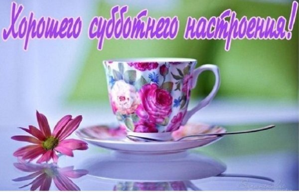 04N6PdDXjk4