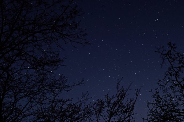 Picsart 25-04-17 15-44-07-617