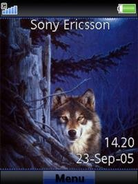 Night forest wolf