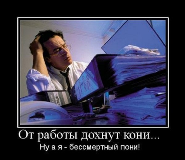 От работы дохнут кони....