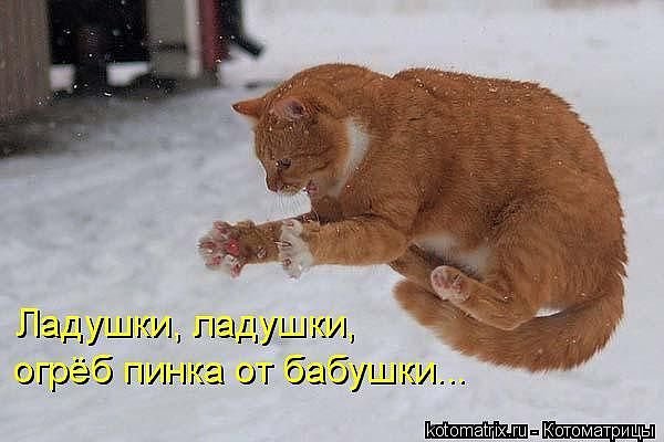 getImage photoId363039884597ampphotoType