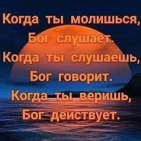 FB IMG 1636291279153