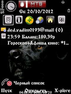Black labrador