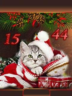 котёнок
