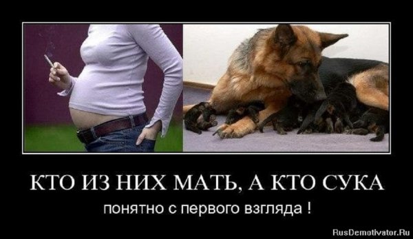 Кто из них мать понятно с певого взгляда