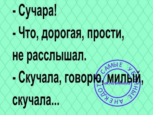 FbDownloader+239f2466-d