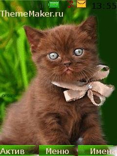 котейкин