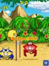 Beach Ball Crab Mayhem