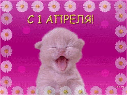 file_46426364