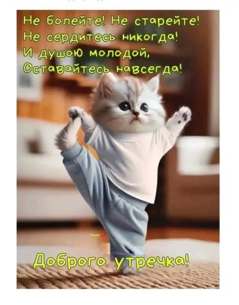 FB IMG 1743742591015