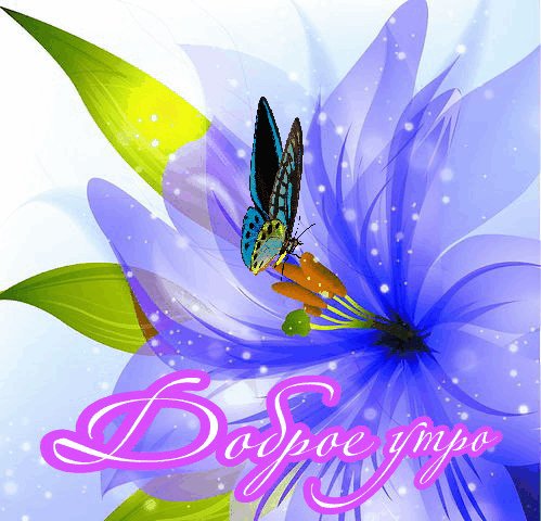 доброе утро1