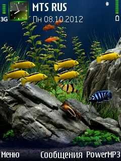 Aquarium