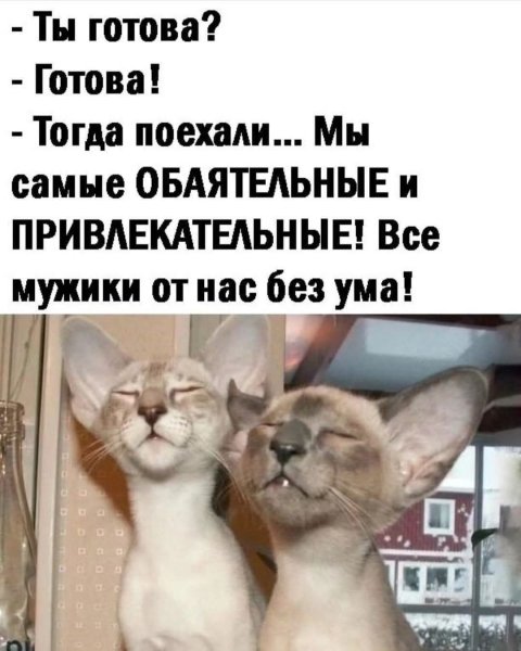 FB IMG 1778525352257