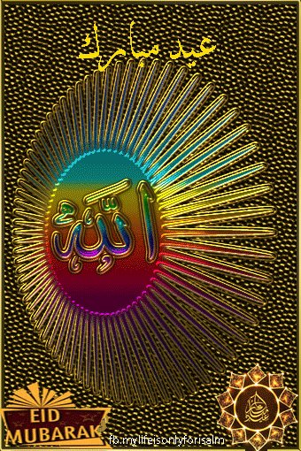 Ed9e47eb803abb86c75a4dc25fb33180