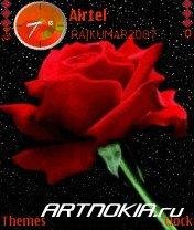 Snow-Rose-Animated-4-Nokia-Theme