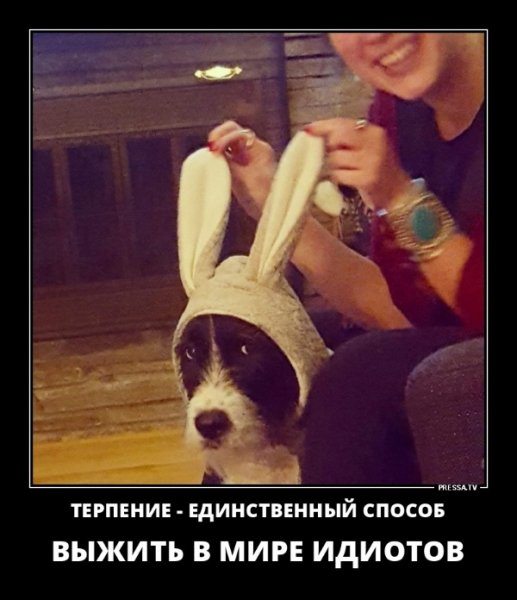 Терпение