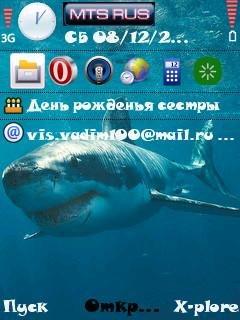 greatwhite3-117974