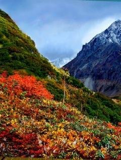 Kamchatka slide 5 images