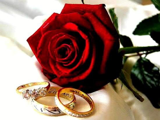 rose