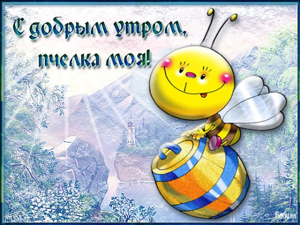 file_51425440