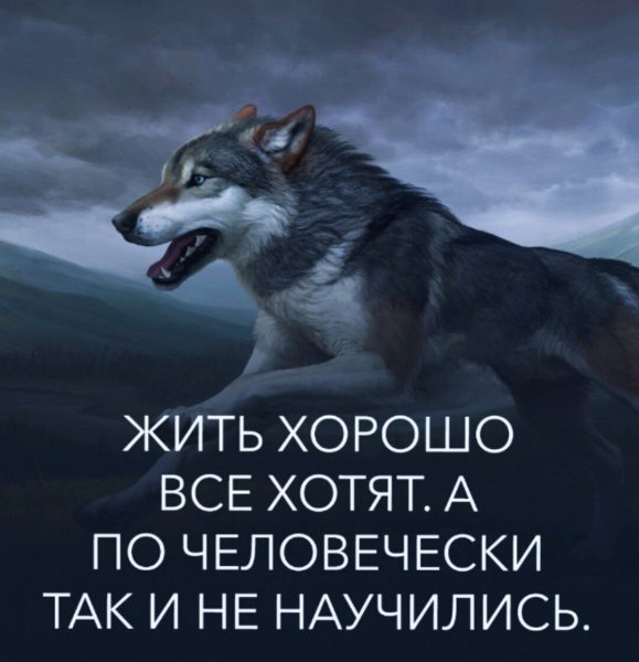 IMG 20251124 035038