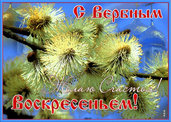 С Вербным воскресеньем!