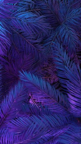 adapted 1080x1920