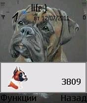 Boxer Update